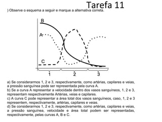 Tarefa 11 
