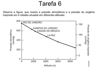 Tarefa 6 Observe a figura, que mostra a pressão atmosférica e a pressão de oxigênio inspirado em 4 cidades situadas em diferentes altitudes. 