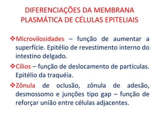 DIFERENCIAÇÕES DA MEMBRANA PLASMÁTICA DE CÉLULAS EPITELIAIS Microvilosidades  – função de aumentar a superfície. Epitélio de revestimento interno do intestino delgado. Cílios  – função de deslocamento de partículas. Epitélio da traquéia. Zônula  de oclusão, zônula de adesão, desmossomo e junções tipo gap – função de reforçar união entre células adjacentes. 