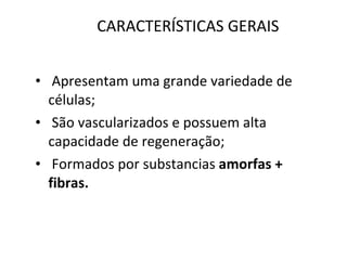 CARACTERÍSTICAS GERAIS   Apresentam uma grande variedade de células; São vascularizados e possuem alta capacidade de regeneração; Formados por substancias  amorfas + fibras. 