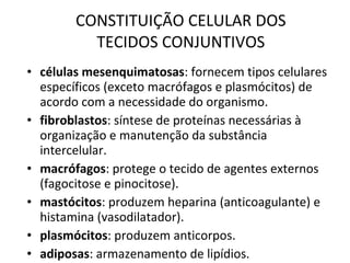 CONSTITUIÇÃO CELULAR DOS TECIDOS CONJUNTIVOS células mesenquimatosas : fornecem tipos celulares específicos (exceto macrófagos e plasmócitos) de acordo com a necessidade do organismo. fibroblastos : síntese de proteínas necessárias à organização e manutenção da substância intercelular. macrófagos : protege o tecido de agentes externos (fagocitose e pinocitose). mastócitos : produzem heparina (anticoagulante) e histamina (vasodilatador). plasmócitos : produzem anticorpos. adiposas : armazenamento de lipídios.  