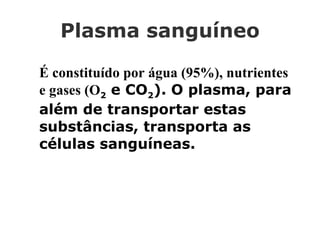 Plasma sanguíneo   É constituído por água (95%), nutrientes e gases (O 2  e CO 2 ). O plasma, para além de transportar estas substâncias, transporta as células sanguíneas. 
