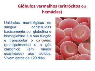 Glóbulos vermelhos  ( eritrócitos  ou  hemácias )   U nidades morfológicas do sangue, constituídas basicamente por globulina e hemoglobina e a sua função é transportar o  oxigênio  (principalmente) e o gás carbônico (em menor quantidade) aos tecidos.  V ivem  cerca de  120 dias. 