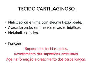 TECIDO CARTILAGINOSO Matriz sólida e firme com alguma flexibilidade. Avascularizado, sem nervos e vasos linfáticos. Metabolismo baixo. Funções:  Suporte dos tecidos moles. Revestimento das superfícies articulares. Age na formação e crescimento dos ossos longos.   