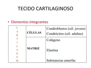 TECIDO CARTILAGINOSO Elementos integrantes C A R T I L A G E M CÉLULAS Condroblastos (cél. jovens) Condrócitos (cél. adultas) MATRIZ Colágeno Elastina Substancias amorfas 