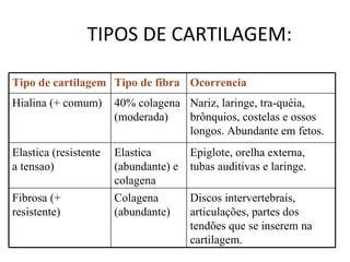 TIPOS DE CARTILAGEM: Tipo de cartilagem Tipo de fibra Ocorrencia  Hialina (+ comum) 40% colagena (moderada) Nariz, laringe, tra-quéia, brônquios, costelas e ossos longos. Abundante em fetos. Elastica (resistente a tensao) Elastica (abundante) e colagena Epiglote, orelha externa, tubas auditivas e laringe. Fibrosa (+ resistente) Colagena (abundante) Discos intervertebrais, articulações, partes dos tendões que se inserem na cartilagem. 