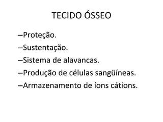TECIDO ÓSSEO Proteção.  Sustentação.  Sistema de alavancas.  Produção de células sangüíneas.  Armazenamento de íons cátions. 