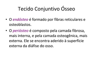 Tecido Conjuntivo Ósseo O  endósteo  é formado por fibras reticulares e osteoblastos.  O  periósteo  é composto pela camada fibrosa, mais interna, e pela camada osteogênica, mais externa. Ele se encontra aderido à superfície externa da diáfise do osso.  