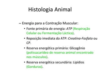 Histologia Animal Energia para a Contração Muscular: Fonte primária de energia:  ATP  (Respiração Celular ou Fermentação Láctica) . Reposição imediata do ATP:  Creatina-Fosfato  ou  CP . Reserva energética primária: Glicogênio  (polissacarídeo de reserva animal encontrado nos músculos) . Reserva energética secundária: Lipídios  (Gorduras) . 