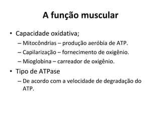 A função muscular Capacidade oxidativa; Mitocôndrias – produção aeróbia de ATP. Capilarização – fornecimento de oxigênio. Mioglobina – carreador de oxigênio. Tipo de ATPase De acordo com a velocidade de degradação do ATP. 
