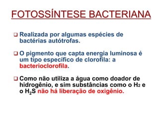  Realizada por algumas espécies de
bactérias autótrofas.
 O pigmento que capta energia luminosa é
um tipo específico de clorofila: a
bacterioclorofila.
 Como não utiliza a água como doador de
hidrogênio, e sim substâncias como o H2 e
o H2S não há liberação de oxigênio.
FOTOSSÍNTESE BACTERIANA
 