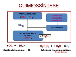 MATÉRIA INORGÂNICA
6CO2 + 12H2O
MATÉRIA ORGÂNICA
GLICOSE
C6H12O6
Oxidação de
Compostos
Inorgânicos
ENERGIA QUÍMICA
6O2
+ 6 H2O
QUIMIOSSÍNTESE
6CO2 + 12H2O C6H12O6 + 6 H2O + 6O2
Substancia inorgânica + O2 Substância inorgânica oxidada +
Energia Química
 
