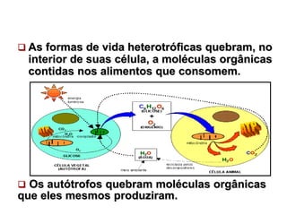  As formas de vida heterotróficas quebram, no
interior de suas célula, a moléculas orgânicas
contidas nos alimentos que consomem.
 Os autótrofos quebram moléculas orgânicas
que eles mesmos produziram.
 