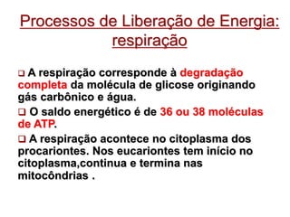 Processos de Liberação de Energia:
respiração
 A respiração corresponde à degradação
completa da molécula de glicose originando
gás carbônico e água.
 O saldo energético é de 36 ou 38 moléculas
de ATP.
 A respiração acontece no citoplasma dos
procariontes. Nos eucariontes tem início no
citoplasma,continua e termina nas
mitocôndrias .
 