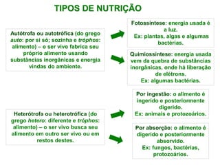 TIPOS DE NUTRIÇÃO
Fotossíntese: energia usada é
a luz.
Ex: plantas, algas e algumas
bactérias.
Autótrofa ou autotrófica (do grego
auto: por si só; sozinha e tróphos:
alimento) – o ser vivo fabrica seu
próprio alimento usando
substâncias inorgânicas e energia
vindas do ambiente.
Quimiossíntese: energia usada
vem da quebra de substâncias
inorgânicas, onde há liberação
de elétrons.
Ex: algumas bactérias.
Heterótrofa ou heterotrófica (do
grego hetero: diferente e tróphos:
alimento) – o ser vivo busca seu
alimento em outro ser vivo ou em
restos destes.
Por ingestão: o alimento é
ingerido e posteriormente
digerido.
Ex: animais e protozoários.
Por absorção: o alimento é
digerido e posteriormente
absorvido.
Ex: fungos, bactérias,
protozoários.
 