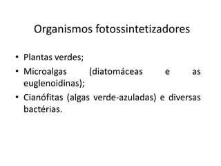 Organismos fotossintetizadores
• Plantas verdes;
• Microalgas (diatomáceas e as
euglenoidinas);
• Cianófitas (algas verde-azuladas) e diversas
bactérias.
 
