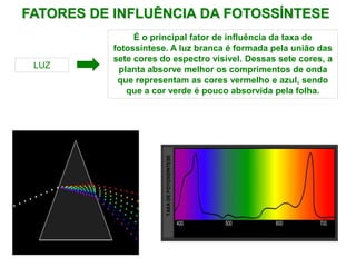 FATORES DE INFLUÊNCIA DA FOTOSSÍNTESE
COMPRIMENTO DE ONDA (nm)
TAXA
DE
FOTOSSÍNTESE
LUZ
É o principal fator de influência da taxa de
fotossíntese. A luz branca é formada pela união das
sete cores do espectro visível. Dessas sete cores, a
planta absorve melhor os comprimentos de onda
que representam as cores vermelho e azul, sendo
que a cor verde é pouco absorvida pela folha.
 