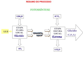 RESUMO DO PROCESSO
FOTOSSÍNTESE
12H2O
ETAPA
CLARA
LOCAL:
6 H2O
6O2
ETAPA
ESCURA
LOCAL:
12NADPH2
18ATP
Tilacóides Estroma
Glicídio
(C6H1206)
6CO2
LUZ
 