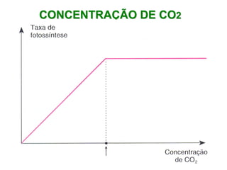 CONCENTRAÇÃO DE CO2
 