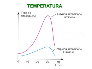 TEMPERATURA
 
