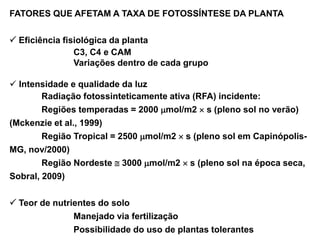 FATORES QUE AFETAM A TAXA DE FOTOSSÍNTESE DA PLANTA
 Eficiência fisiológica da planta
C3, C4 e CAM
Variações dentro de cada grupo
 Intensidade e qualidade da luz
Radiação fotossinteticamente ativa (RFA) incidente:
Regiões temperadas = 2000 mol/m2  s (pleno sol no verão)
(Mckenzie et al., 1999)
Região Tropical = 2500 mol/m2  s (pleno sol em Capinópolis-
MG, nov/2000)
Região Nordeste  3000 mol/m2  s (pleno sol na época seca,
Sobral, 2009)
 Teor de nutrientes do solo
Manejado via fertilização
Possibilidade do uso de plantas tolerantes
 