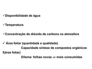 Disponibilidade de água
Temperatura
Concentração de dióxido de carbono na atmosfera
 Área foliar (quantidade e qualidade)
Capacidade síntese de compostos orgânicos
f(área foliar)
Dilema: folhas novas  mais consumidas
 