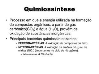 Quimiossíntese
• Processo em que a energia utilizada na formação
de compostos orgânicos, a partir de gás
carbônico(CO2) e água (H2O), provém da
oxidação de substâncias inorgânicas.
• Principais bactérias quimiossintetizantes:
• FERROBACTÉRIAS  oxidação de compostos de ferro.
• NITROBACTÉRIAS  oxidação da amônia (NH3) ou de
nitritos (NO3) (importantes no ciclo do nitrogênio).
– Nitrossomas & Nitrobacter
 