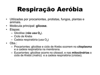 Respiração Aeróbia
• Utilizadas por procariontes, protistas, fungos, plantas e
animais.
• Molécula principal: glicose.
• Etapas:
– Glicólise (não usa O2).
– Ciclo de Krebs
– Cadeia respiratória (usa O2)
• Obs.:
– Procariontes: glicólise e ciclo de Krebs ocorrem no citoplasma
e a cadeia respiratória na membrana.
– Eucariontes: glicólise ocorre no citossol, e nas mitocôndrias o
ciclo de Krebs (matriz) e a cadeia respiratória (cristas).
 