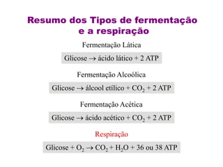 Glicose  ácido lático + 2 ATP
Fermentação Lática
Glicose  álcool etílico + CO2 + 2 ATP
Fermentação Alcoólica
Glicose  ácido acético + CO2 + 2 ATP
Fermentação Acética
Glicose + O2  CO2 + H2O + 36 ou 38 ATP
Respiração
Resumo dos Tipos de fermentação
e a respiração
 