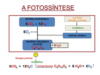 MATÉRIA INORGÂNICA
6CO2 + 12H2O
MATÉRIA ORGÂNICA
GLICOSE
C6H12O6
Luz Solar
Energia Luminosa
CLOROFILA
ENERGIA QUÍMICA
+ 6 H2O
6O2
A FOTOSSÍNTESE
6CO2 + 12H2O
CLOROFILA
Energia Luminosa
Energia Química C6H12O6 + 6 H2O + 6O2
 