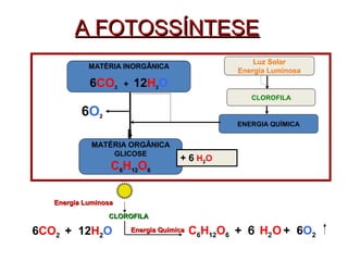 AA FFOOTTOOSSSSÍÍNNTTEESSEE 
MATÉRIA INORGÂNICA 
6CO2 + 12H2O 
MATÉRIA ORGÂNICA 
GLICOSE 
C6H12O6 
Luz Solar 
Energia Luminosa 
CLOROFILA 
ENERGIA QUÍMICA 
+ 6 H2O 
6O2 
EEnneerrggiiaa LLuummiinnoossaa 
CCLLOORROOFFIILLAA 
6CO2 + 12H2O 
EEnneerrggiiaa QQuuíímmiiccaa C6H12O6 + 6 H2O + 6O2 
 