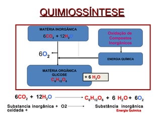 QQUUIIMMIIOOSSSSÍÍNNTTEESSEE 
MATÉRIA INORGÂNICA 
6CO2 + 12H2O 
MATÉRIA ORGÂNICA 
GLICOSE 
C6H12O6 
Oxidação de 
Compostos 
Inorgânicos 
ENERGIA QUÍMICA 
6O2 
+ 6 H2O 
6CO2 + 12H2O C6H12O6 + 6 H2O + 6O2 
SSuubbssttaanncciiaa iinnoorrggâânniiccaa ++ OO22 SSuubbssttâânncciiaa iinnoorrggâânniiccaa 
ooxxiiddaaddaa ++ EEnneerrggiiaa QQuuíímmiiccaa 
 
