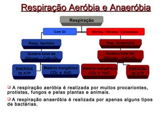 Respiração AAeerróóbbiiaa ee AAnnaaeerróóbbiiaa 
Respiração 
Com O2 Nitritos / Nitratos / Carbonatos 
Resp. Aeróbia Rep. Anaeróbia 
Quebra total da 
Glicose – C6H12O6 
Quebra total da 
Glicose – C6H12O6 
ENERGIA 
38 ATP 
Matéria inorgânica 
CO2 e H2O 
ENERGIA 
36 ATP 
Matéria Inorgânica 
CO2 e H2O 
 A respiração aeróbia é realizada por muitos procariontes, 
protistas, fungos e pelas plantas e animais. 
 A respiração anaeróbia é realizada por apenas alguns tipos 
de bactérias. 
 