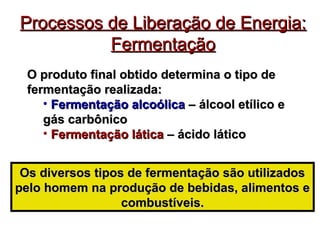 Processos de LLiibbeerraaççããoo ddee EEnneerrggiiaa:: 
FFeerrmmeennttaaççããoo 
OO pprroodduuttoo ffiinnaall oobbttiiddoo ddeetteerrmmiinnaa oo ttiippoo ddee 
ffeerrmmeennttaaççããoo rreeaalliizzaaddaa:: 
• FFeerrmmeennttaaççããoo aallccooóólliiccaa –– áállccooooll eettíílliiccoo ee 
ggááss ccaarrbbôônniiccoo 
• FFeerrmmeennttaaççããoo llááttiiccaa –– áácciiddoo llááttiiccoo 
OOss ddiivveerrssooss ttiippooss ddee ffeerrmmeennttaaççããoo ssããoo uuttiilliizzaaddooss 
ppeelloo hhoommeemm nnaa pprroodduuççããoo ddee bbeebbiiddaass,, aalliimmeennttooss ee 
ccoommbbuussttíívveeiiss.. 
 