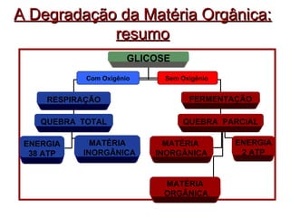 A Degradação ddaa MMaattéérriiaa OOrrggâânniiccaa:: 
rreessuummoo 
GLICOSE 
Com Oxigênio Sem Oxigênio 
RESPIRAÇÃO FERMENTAÇÃO 
QUEBRA TOTAL QUEBRA PARCIAL 
ENERGIA 
38 ATP 
MATÉRIA 
INORGÂNICA 
MATÉRIA 
INORGÂNICA 
ENERGIA 
2 ATP 
MATÉRIA 
ORGÂNICA 
 