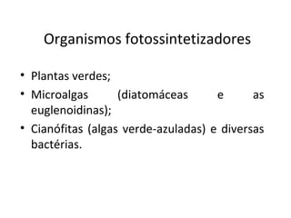 Organismos fotossintetizadores 
• Plantas verdes; 
• Microalgas (diatomáceas e as 
euglenoidinas); 
• Cianófitas (algas verde-azuladas) e diversas 
bactérias. 
 