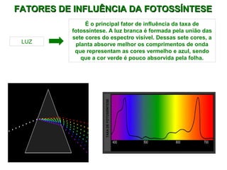 FATORES DE INFLUÊNCIA DDAA FFOOTTOOSSSSÍÍNNTTEESSEE 
COMPRIMENTO DE ONDA (nm) 
TAXA DE FOTOSSÍNTESE 
LUZ 
É o principal fator de influência da taxa de 
fotossíntese. A luz branca é formada pela união das 
sete cores do espectro visível. Dessas sete cores, a 
planta absorve melhor os comprimentos de onda 
que representam as cores vermelho e azul, sendo 
que a cor verde é pouco absorvida pela folha. 
 