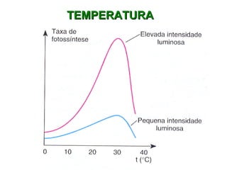 TTEEMMPPEERRAATTUURRAA 
 