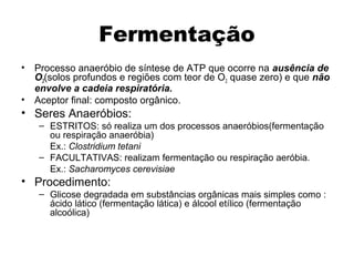 Fermentação 
• Processo anaeróbio de síntese de ATP que ocorre na ausência de 
O2(solos profundos e regiões com teor de O2 quase zero) e que não 
envolve a cadeia respiratória. 
• Aceptor final: composto orgânico. 
• Seres Anaeróbios: 
– ESTRITOS: só realiza um dos processos anaeróbios(fermentação 
ou respiração anaeróbia) 
Ex.: Clostridium tetani 
– FACULTATIVAS: realizam fermentação ou respiração aeróbia. 
Ex.: Sacharomyces cerevisiae 
• Procedimento: 
– Glicose degradada em substâncias orgânicas mais simples como : 
ácido lático (fermentação lática) e álcool etílico (fermentação 
alcoólica) 
 