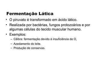 Fermentação Lática 
• O piruvato é transformado em ácido lático. 
• Realizada por bactérias, fungos protozoários e por 
algumas células do tecido muscular humano. 
• Exemplos: 
– Cãibra: fermentação devido à insuficiência de O2 
– Azedamento do leite. 
– Produção de conservas. 
 