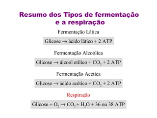 Resumo dos Tipos de fermentação 
e a respiração 
Fermentação Lática 
Glicose ® áácciiddoo llááttiiccoo ++ 22 AATTPP 
Fermentação Alcoólica 
Glicose ® álcool etílico + CO 2 + 2 ATP 
Fermentação Acética 
Glicose ® ácido acético + CO 2 + 2 ATP 
Respiração 
Glicose + O 2 ® CO2 + H2O + 36 ou 38 ATP 

