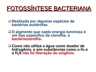 Realizada por algumas espécies de bactérias autótrofas. O pigmento que capta energia luminosa é um tipo específico de clorofila: a  bacterioclorofila . Como não utiliza a água como doador de hidrogênio, e sim substâncias como o H 2  e o H 2 S  não há liberação de oxigênio. FOTOSSÍNTESE BACTERIANA 