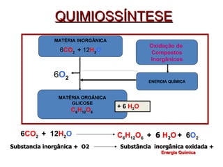 QUIMIOSSÍNTESE 6 CO 2  +  12 H 2 O C 6 H 12 O 6  +  6  H 2 O   +  6 O 2 Substancia inorgânica +  O2  Substância  inorgânica oxidada + Energia Química   MATÉRIA INORGÂNICA 6 CO 2  +  12 H 2 O MATÉRIA ORGÂNICA GLICOSE C 6 H 12 O 6  Oxidação de  Compostos Inorgânicos ENERGIA QUÍMICA 6 O 2 + 6  H 2 O 