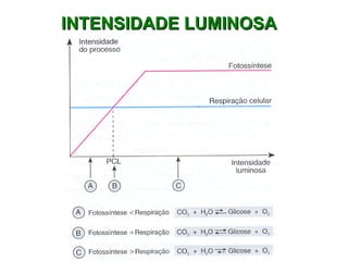 INTENSIDADE LUMINOSA 