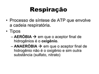 Respiração  Processo de síntese de ATP que envolve a cadeia respiratória. Tipos AERÓBIA     em que o aceptor final de hidrogênios é o  oxigênio . ANAERÓBIA    em que o aceptor final de hidrogênio não é o oxigênio e sim outra substância (sulfato, nitrato) 