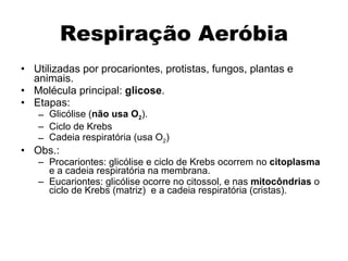 Respiração Aeróbia Utilizadas por procariontes, protistas, fungos, plantas e animais. Molécula principal:  glicose . Etapas: Glicólise ( não usa O 2 ). Ciclo de Krebs Cadeia respiratória (usa O 2 ) Obs.: Procariontes: glicólise e ciclo de Krebs ocorrem no  citoplasma  e a cadeia respiratória na membrana. Eucariontes: glicólise ocorre no citossol, e nas  mitocôndrias  o ciclo de Krebs (matriz)  e a cadeia respiratória (cristas). 