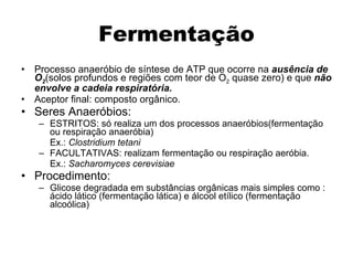 Fermentação Processo anaeróbio de síntese de ATP que ocorre na  ausência de O 2 (solos profundos e regiões com teor de O 2  quase zero) e que  não envolve a cadeia respiratória. Aceptor final: composto orgânico. Seres Anaeróbios: ESTRITOS: só realiza um dos processos anaeróbios(fermentação ou respiração anaeróbia)  Ex.:  Clostridium tetani FACULTATIVAS: realizam fermentação ou respiração aeróbia. Ex.:  Sacharomyces cerevisiae Procedimento: Glicose degradada em substâncias orgânicas mais simples como : ácido lático (fermentação lática) e álcool etílico (fermentação alcoólica) 