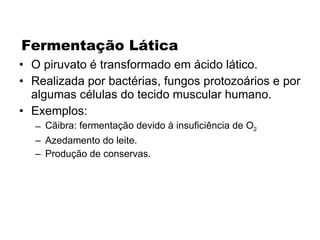 Fermentação Lática O piruvato é transformado em ácido lático. Realizada por bactérias, fungos protozoários e por algumas células do tecido muscular humano. Exemplos: Cãibra: fermentação devido à insuficiência de O 2 Azedamento do leite. Produção de conservas. 
