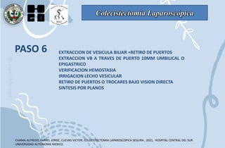Colecistectomía Laparoscópica
PASO 6 EXTRACCION DE VESICULA BILIAR +RETIRO DE PUERTOS
EXTRACCION VB A TRAVES DE PUERTO 10MM UMBILICAL O
EPIGASTRICO
VERIFICACION HEMOSTASIA
IRRIGACION LECHO VESICULAR
RETIRO DE PUERTOS O TROCARES BAJO VISION DIRECTA
SINTESIS POR PLANOS
CHAMA ALFREDO, FARREL JORGE, CUEVAS VICTOR, COLECISTECTOMIA LAPAROSCOPICA SEGURA , 2021, HOSPITAL CENTRAL DEL SUR
UNIVERSIDAD AUTONOMA MEXICO.
 