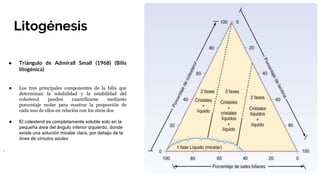Litogénesis
● Triángulo de Admirall Small (1968) (Bilis
litogénica)
● Los tres principales componentes de la bilis que
determinan la solubilidad y la estabilidad del
colesterol pueden cuantificarse mediante
porcentaje molar para mostrar la proporción de
cada uno de ellos en relación con los otros dos
● El colesterol es completamente soluble solo en la
pequeña área del ángulo inferior izquierdo, donde
existe una solución micelar clara, por debajo de la
línea de círculos azules
.
 